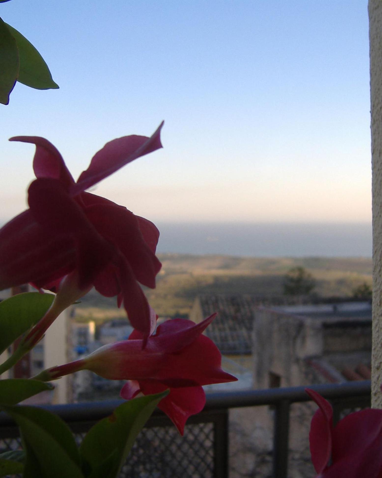 Bed and Breakfast I Tetti di Girgenti Agrigento Esterno foto