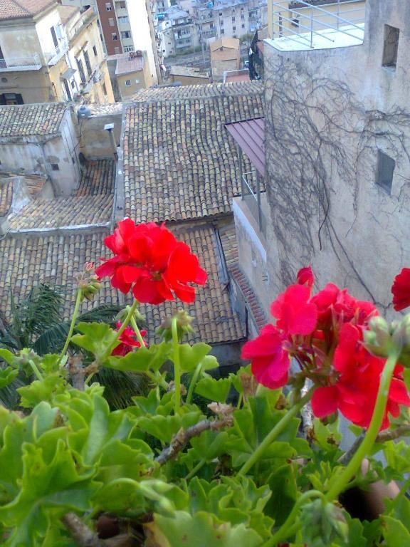 Bed and Breakfast I Tetti di Girgenti Agrigento Esterno foto